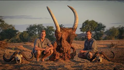 This Is Africa / This is Africa Five - The full hu...