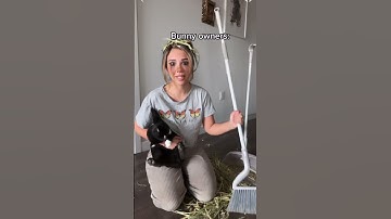 Bunny owners vs non bunny owners #rabbit #bunny #hay