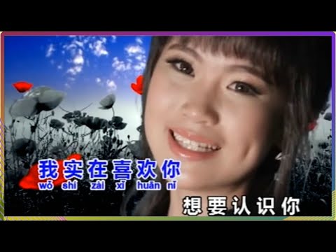 因為我愛你 HD 何佳琪