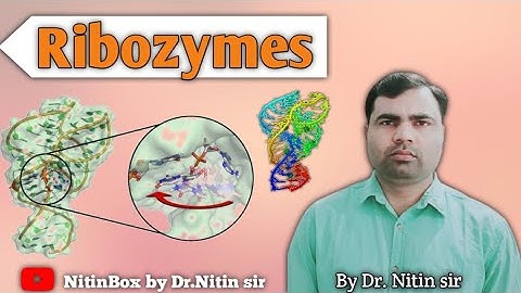Ribozymes