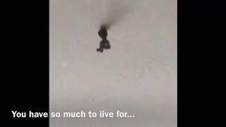 Suicidal Alien