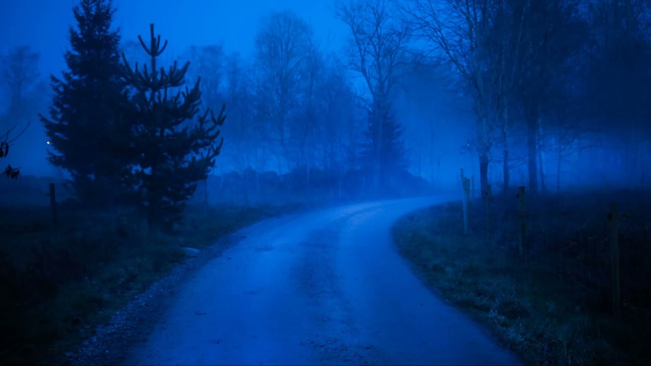 Watch .DIEDLONELY x HAYDYS = Distant on YouTube Watch .DIEDLONELY x HAYDYS = Distant on YouTube