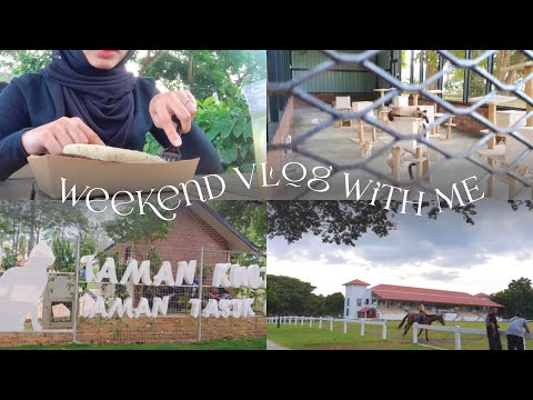 Weekend Vlog || Watching horses while eating sandwich, Dinner, Go to Taman Kucing