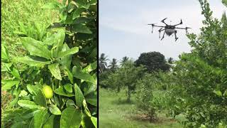 Garuda Agri-Drones At The Organic Farm, Tamil Nadu Garuda Aerospace