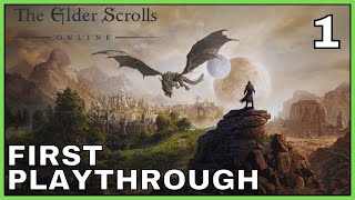 Let's Play The Elder Scrolls Online Part 1 | Our Adventure Begins
