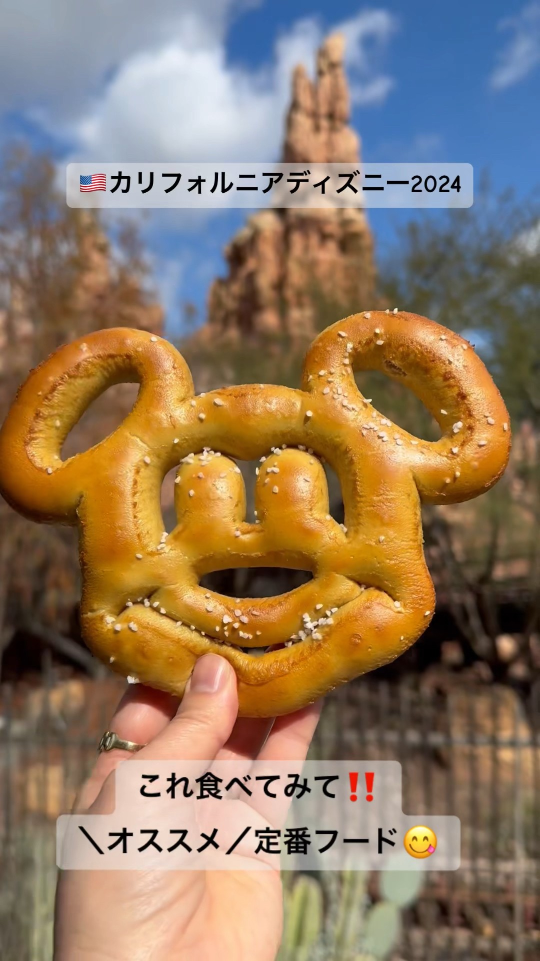 Overseas Disney] California Mickey Mouse Shaped  Recommended