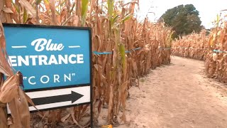 Kens Korny Corn Maze In Garner Celebrates 25 Years Of Cornfusion
