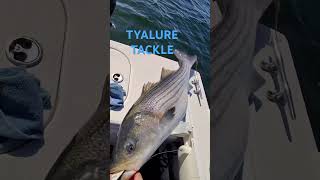 Exclusive glow flutter spoons and Visser Purple Rain reels #tacklepusher #tyalure