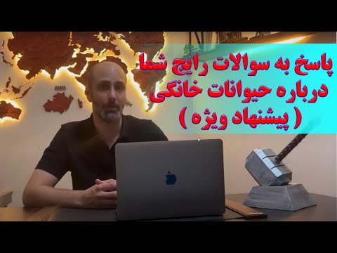 در ویدیو سعی شده به سوالات روتین شما پاسخ داده شود