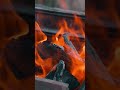 Outdoor Tranquility Crackling Firewood for Relaxation #fire #shorts