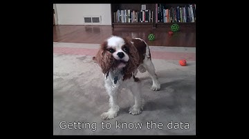 Regression main effects vs. interaction - Part 3 - Getting to know the data