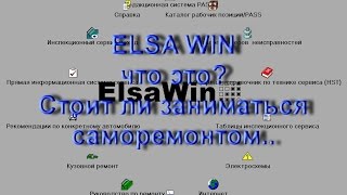 ELSA WIN что это? Стоит ли ремонтировать авто самому..