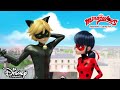 🐝 Miraculum pszczoły | Miraculous: Biedronka i Czarny Kot | Disney Channel Polska