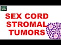 SEX CORD-STROMAL TUMORS  : - Ovarian Tumor Series Part 6