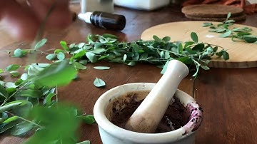 Making lake pigments with Phyllanthus reticulatus