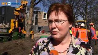 Monumentale Bomen Teruggeplaatst