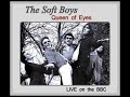 The queen of eyes    the soft boys  live bbc