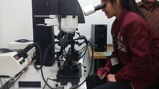how comparison microscope work. how to compare suspected bullet by help of comparision microscope