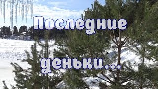 Последние Зимние Деньки, Рыбежно, 2018Г.