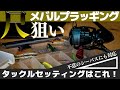普段メバリングで使用するタックルセッティングからルアーまで全て公開｜小さいメバルから尺まで対応したプラグ攻略に適した万能タックル