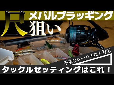 普段メバリングで使用するタックルセッティングからルアーまで