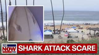 Shark attack scare shuts down popular beach on Memorial Day | LiveNOW from FOX