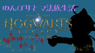 のんびりとマ法族生活！！ホグワーツ・レガシー実況