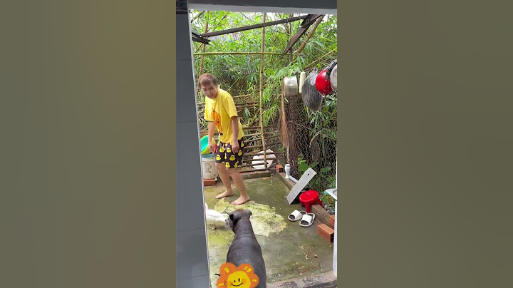 Móng Chân Vịt Bị Gãy Có Lành Được Không 😢| Quốc Halo | #shorts