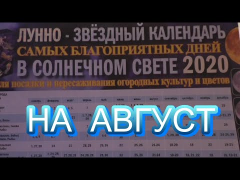 Лунный календарь садовода огородника на август 2020 г