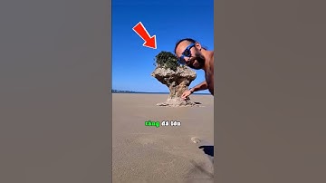 Đây là cách cát lún che giấu bí mật của nó 😱