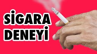 Elektrik Süpürgesine Sigara İçirdik - Sigaranın Zararını Görün