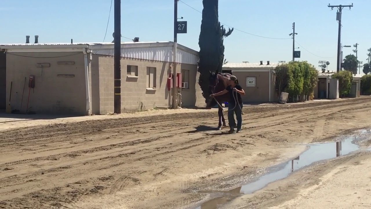 SOLD: West Coast Diesel