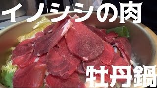 イノシシの肉で牡丹鍋を作ってみた！