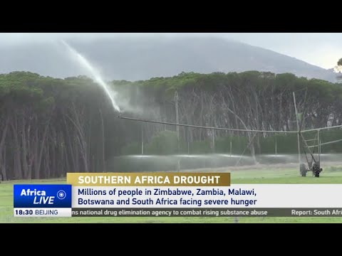 Drought in Southern Africa leaves millions facing severe hunger