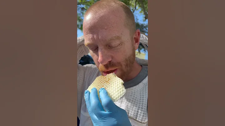 Warm, fresh honey straight from the beehive. #savethebees