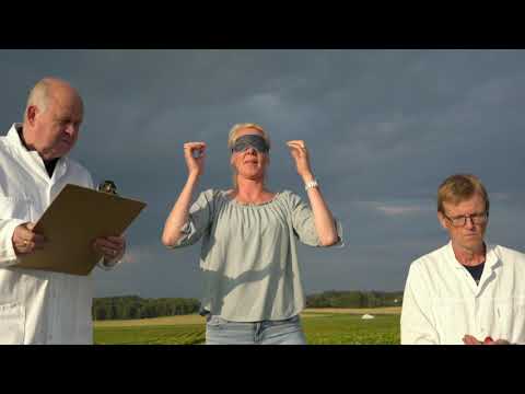 WUNDERBAUM Strawberry commercial