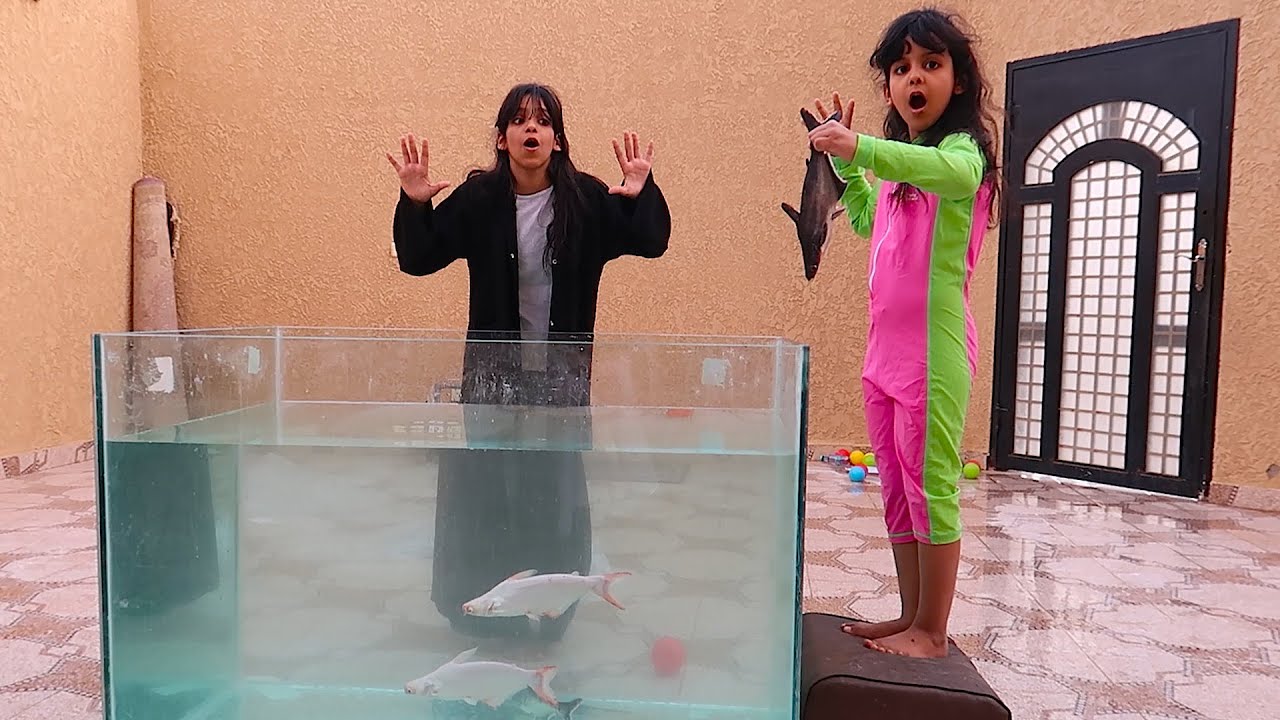 جوجو قررت تمسك سمك القرش من حوض السمك تعالوا شوفوا كيف  !!!