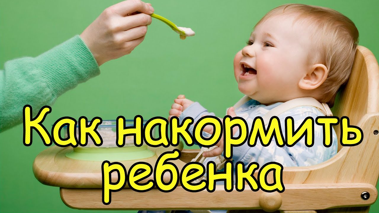 Как накормить говорящего. Как накормить ребенка. он отказывается есть вкусный мамин.