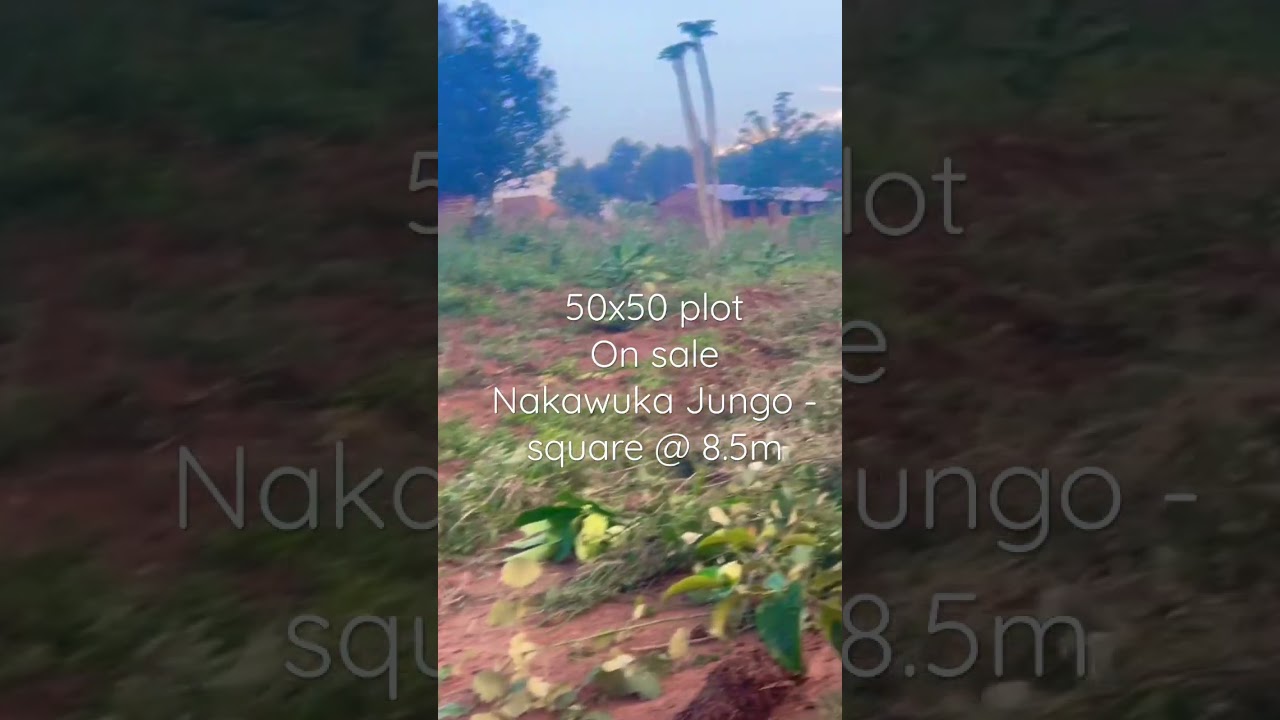 Affordable plot 50*50 @8.5m