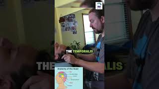 Hair Pulling Scalp Massage 2/2  #nextlevelpainrelief