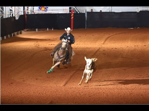 Vídeo: Por que os cavalos de um quarto americano são ótimos animais de estimação: conselhos de especialistas de um proprietário, treinadores e veterinários da AQH