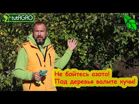 Почему все боятся этого удобрения осенью? Всегда валили навоз под кусты и деревья, теперь нельзя?