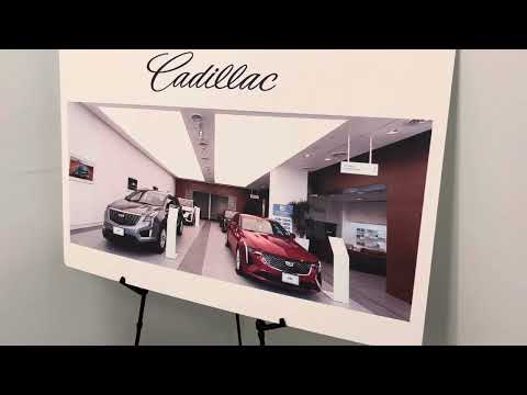 Dealer Nation Automotive Llc