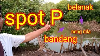 RUTE SPOT ''P'' PEDOTAN KALI GISIK//SPOT BELANAK LIAR KALANG ANYAR SIDOARJO