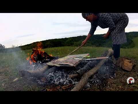 Video: Qril Polaris: Elektrikli Qril - ət Və Balıq üçün Tikinti, Cihaz Və Elektrik Məhsulu üçün Dəyişdirilə Bilən Panel, Rəylər