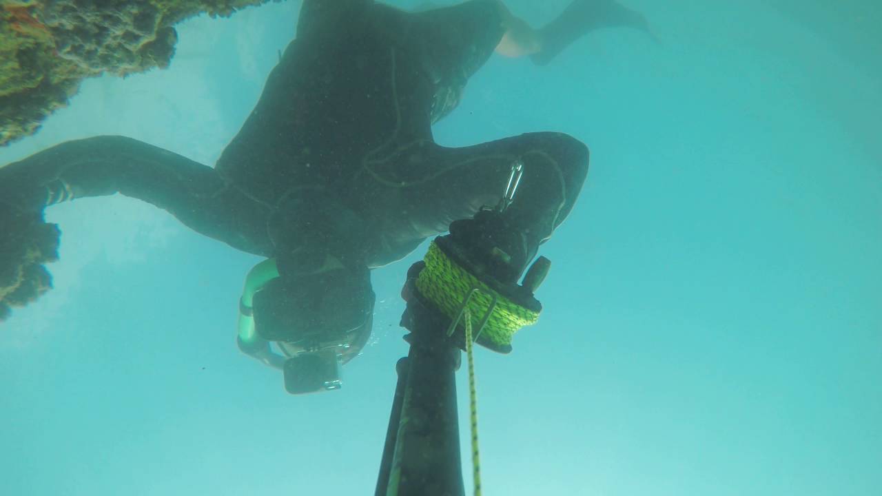 OAHU, HAWAII Spearfishing Ledge Apr 2016 YouTube