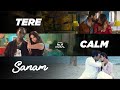 Tere Calm Sanam Tere Vaaste X Sanam Re X Calm Down 