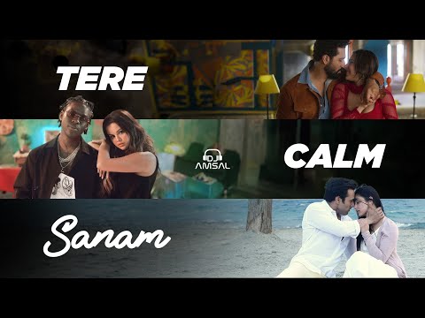 Tere Calm Sanam | Tere Vaaste X Sanam Re X Calm Down