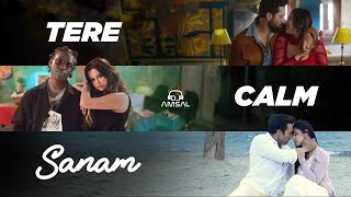 Tere Calm Sanam | Tere Vaaste X Sanam Re X Calm Down