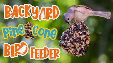How To Make a Backyard Pine Cone Bird Feeder | Creature Crafts